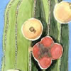 <strong>Cactus</strong><br>
				Técnica: Acuarela y Tinta sobre papel<br>
                Medidas: 35 X 24cms.<br>
                $150 Dólares