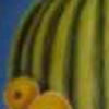 <strong>Cardón y Fruta</strong><br>
				Técnica: Pastel sobre papel<br>
                Medidas: 65 x 45 cms.<br>
                $100 Dólares