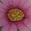 <strong>Flor de Biznaguilla</strong><br>
				Técnica: Acuarela sobre papel<br>
                Medidas: 40 x 32 cms.<br>
                $150 Dólares