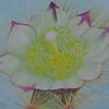 <strong>Flor Cardonillo</strong><br>
				Técnica: Acuarela sobre papel<br>
                Medidas: 36 x 26 cms.<br>
                $150 Dólares