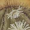 <strong>Espinas y Flores</strong><br>
				Técnica: Grabado sobre papel de algodón<br>
                Aguafuerte e Intaglio<br>
                Medidas: 23 x 29 cms.<br>
                $100 Dólares
