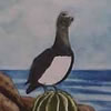 <strong>Gaviota y cactus</strong><br>
				Técnica: Grabado sobre papel de algodón<br>
				Aguafuerte, agua tinta y mezzo tinta<br>
				Medidas: 56 x 40 cms.<br>
				$270 Dólares