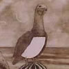 <strong>Gaviota y cactus</strong><br>
				Técnica: Grabado sobre papel de algodón<br>
				Aguafuerte, agua tinta y mezzo tinta<br>
				Medidas: 56 x 40 cms.<br>
				$270 Dólares