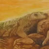 <strong>Iguana de San Ignacio</strong><br>
				Técnica: Grabado sobre papel de algodón<br>
				Aguafuerte, Aguatinta<br>
				Medidas: 40 x 56 cms.<br>
				$100 Dólares